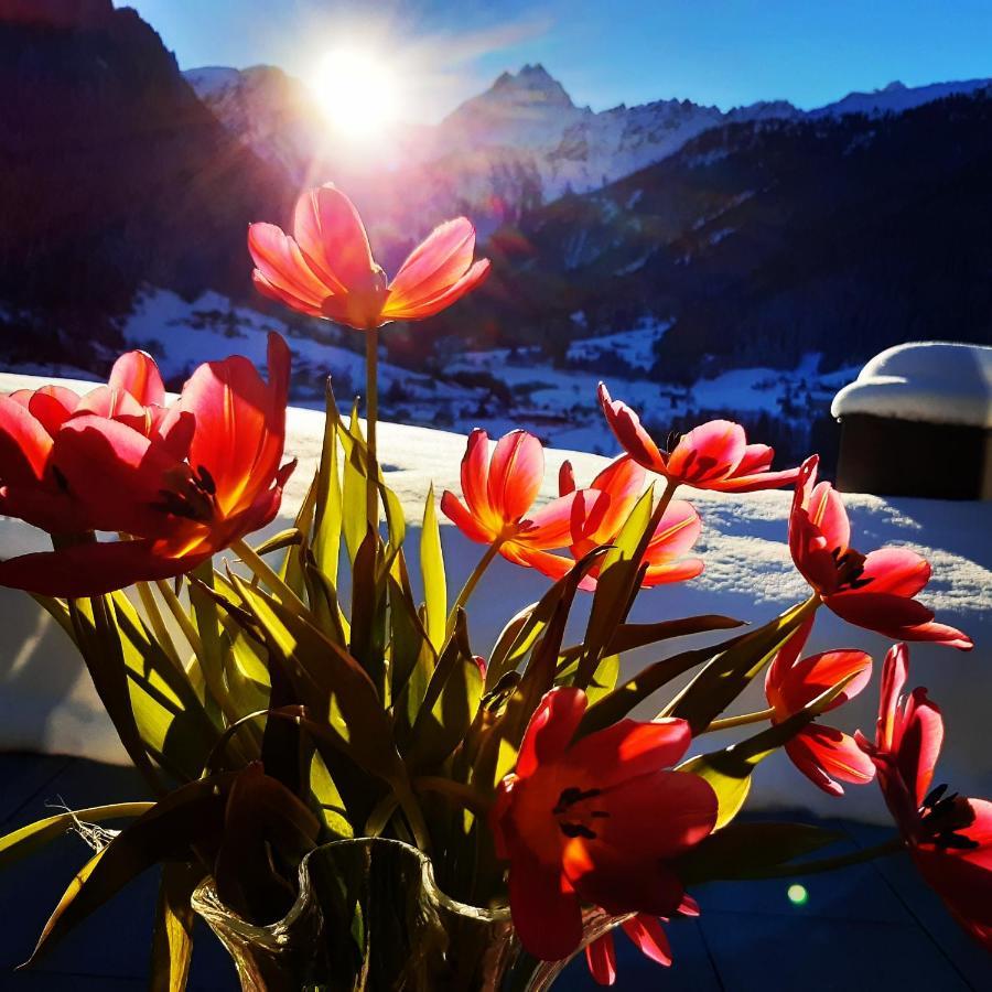 Alpenpension Maderer 加舒恩 外观 照片